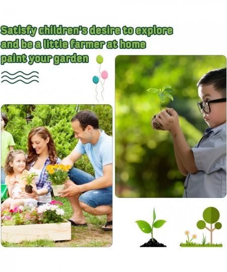 Paint & Planting Flower Growing Kit for Kids Planting Kit for Girls and Boys Gardening Arts & Crafts Set Gifts for Kids 5 6 7...