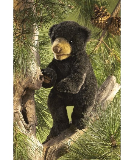 Black Cub Bear Hand Puppet Multi-Colored 1 ea $75.24 - Hand Puppets