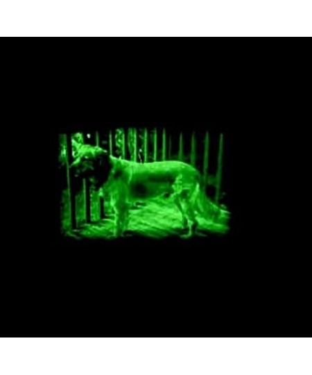 Night Hawk Scope - Real Infrared Night Vision Lets You See up 50 ft. in Total Darkness. Perfect Addition for Your spy Gear Co...