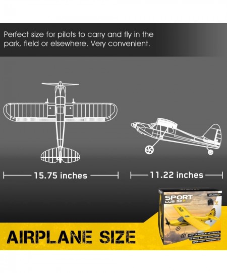 RC Plane 3CH Remote Control Airplane Ready to Fly Sport Cub S2 Radio Controlled Aircraft for Beginners with Xpilot Stabilizat...