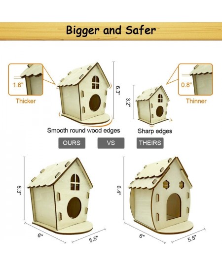 2-Pack Bigger Thicker DIY Wooden Birdhouse Kits for Kids to Build and Paint for Outdoors Backyard Includes Paints Brushes Gar...