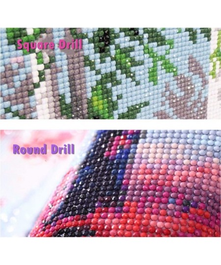 Full Drill 5d Diamond Painting Kits Cross Stitch Craft Kit New DIY Kits for Kids Adults Paint by Number Kits (Flower 30x30cm ...