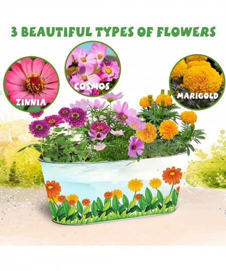 Kids Flower Planting Growing Kit - Kids Gardening Plant and Paint Arts Crafts Set All Ages Both Girls and Boys $17.15 - Toy G...