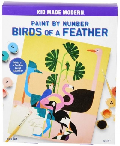 K151 Paint by Number Birds of a Feather kit $21.22 - Craft Kits