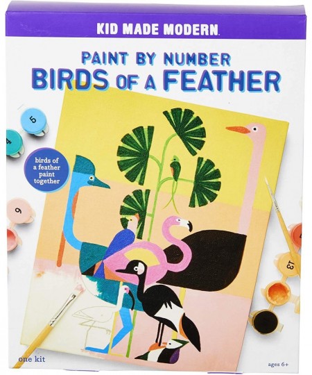 K151 Paint by Number Birds of a Feather kit $21.22 - Craft Kits