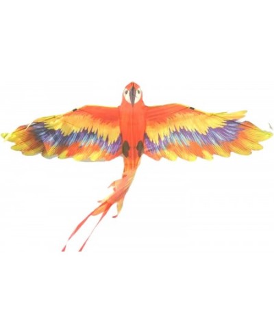 Large Mr. Macaw Kite for Kids and Adults | Best Beach Kite Easy to Fly for Outdoor Games and Activities | Best Social Distanc...