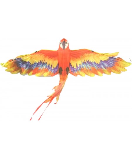 Large Mr. Macaw Kite for Kids and Adults | Best Beach Kite Easy to Fly for Outdoor Games and Activities | Best Social Distanc...