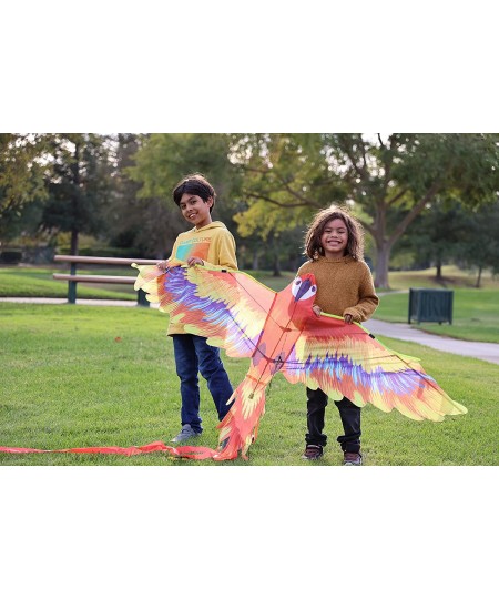 Large Mr. Macaw Kite for Kids and Adults | Best Beach Kite Easy to Fly for Outdoor Games and Activities | Best Social Distanc...