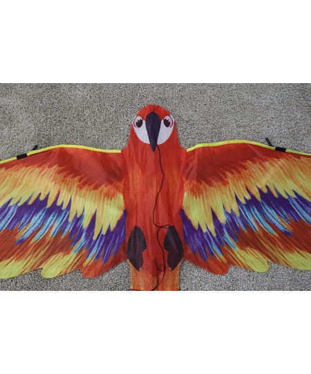 Large Mr. Macaw Kite for Kids and Adults | Best Beach Kite Easy to Fly for Outdoor Games and Activities | Best Social Distanc...