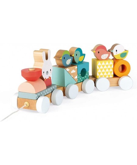 Pure 2-in-1 Beech & Cherry Wood Train Pull-Along & Activity Stacker for Motor Skills & Active Play $55.38 - Early Development...