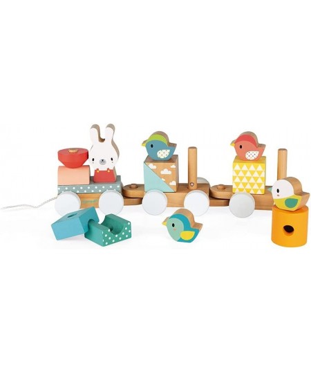 Pure 2-in-1 Beech & Cherry Wood Train Pull-Along & Activity Stacker for Motor Skills & Active Play $55.38 - Early Development...