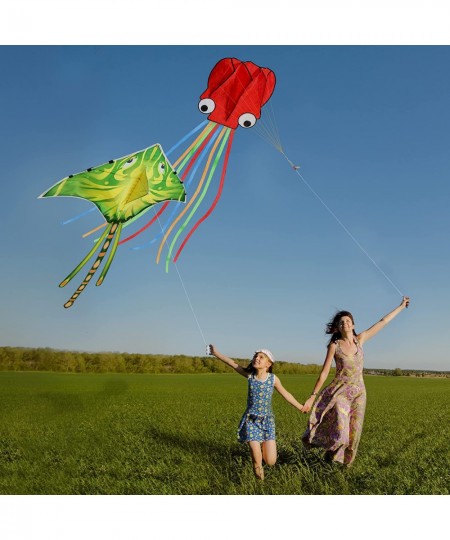 Octopus Devil Fish Kites for Kids Adults - 2 Pack- Large Beach Kites for Kids Ages 4-8 Easy to Fly with 162inches Long Colorf...