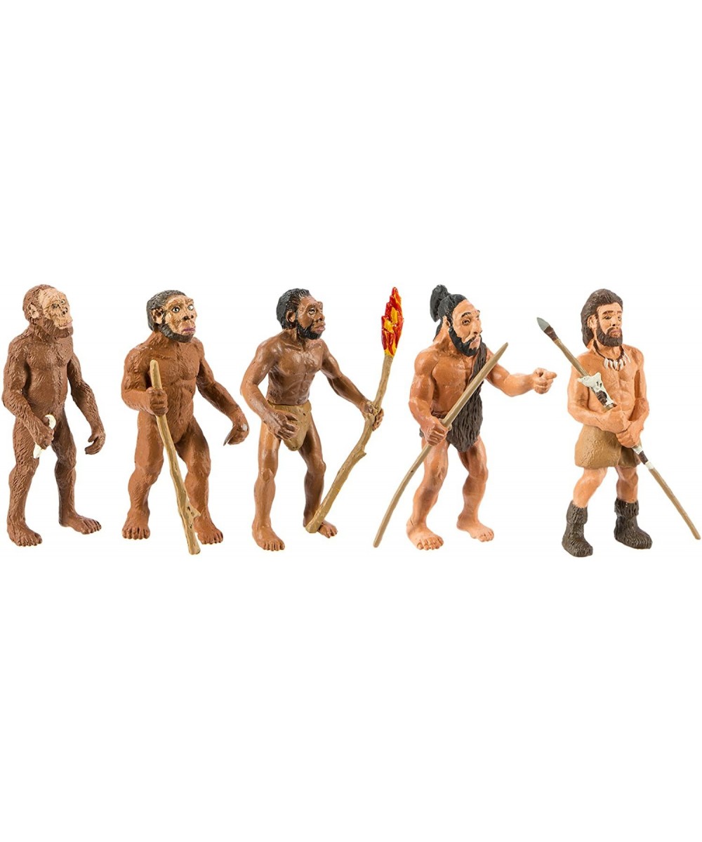 Safari Ltd Safariology Evolution of Man Historical Toy Figurines Including Australopithecus Afarensis Homo Habilis Homo Erect...