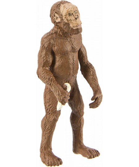 Safari Ltd Safariology Evolution of Man Historical Toy Figurines Including Australopithecus Afarensis Homo Habilis Homo Erect...