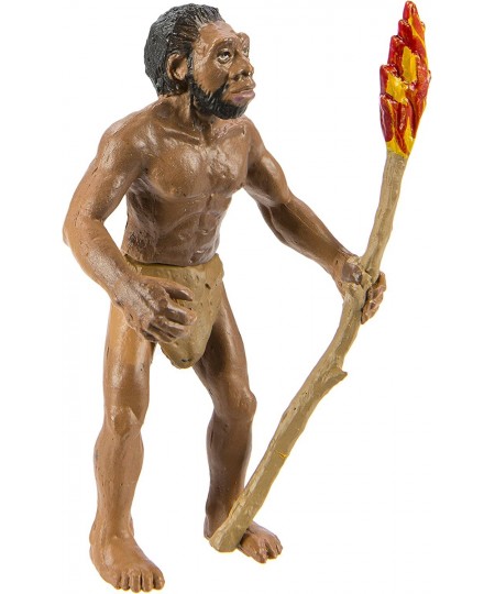 Safari Ltd Safariology Evolution of Man Historical Toy Figurines Including Australopithecus Afarensis Homo Habilis Homo Erect...