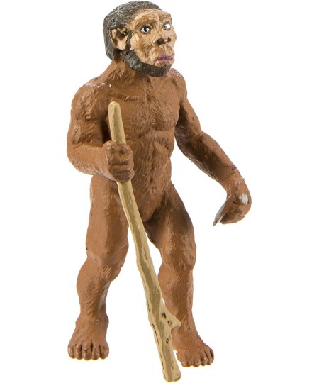 Safari Ltd Safariology Evolution of Man Historical Toy Figurines Including Australopithecus Afarensis Homo Habilis Homo Erect...