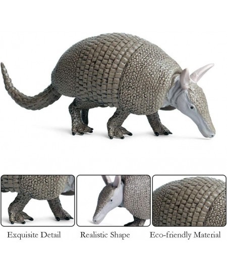 Realistic Animal Figures Armadillo Figurines Science Project Cake Topper Early Educational Toys Birthday for Toddlers Kids Ag...