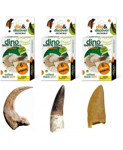 Dino Teeth and Claw Replica Dig and Discover Bundle (Set 1) $29.94 - Educational Science Kits