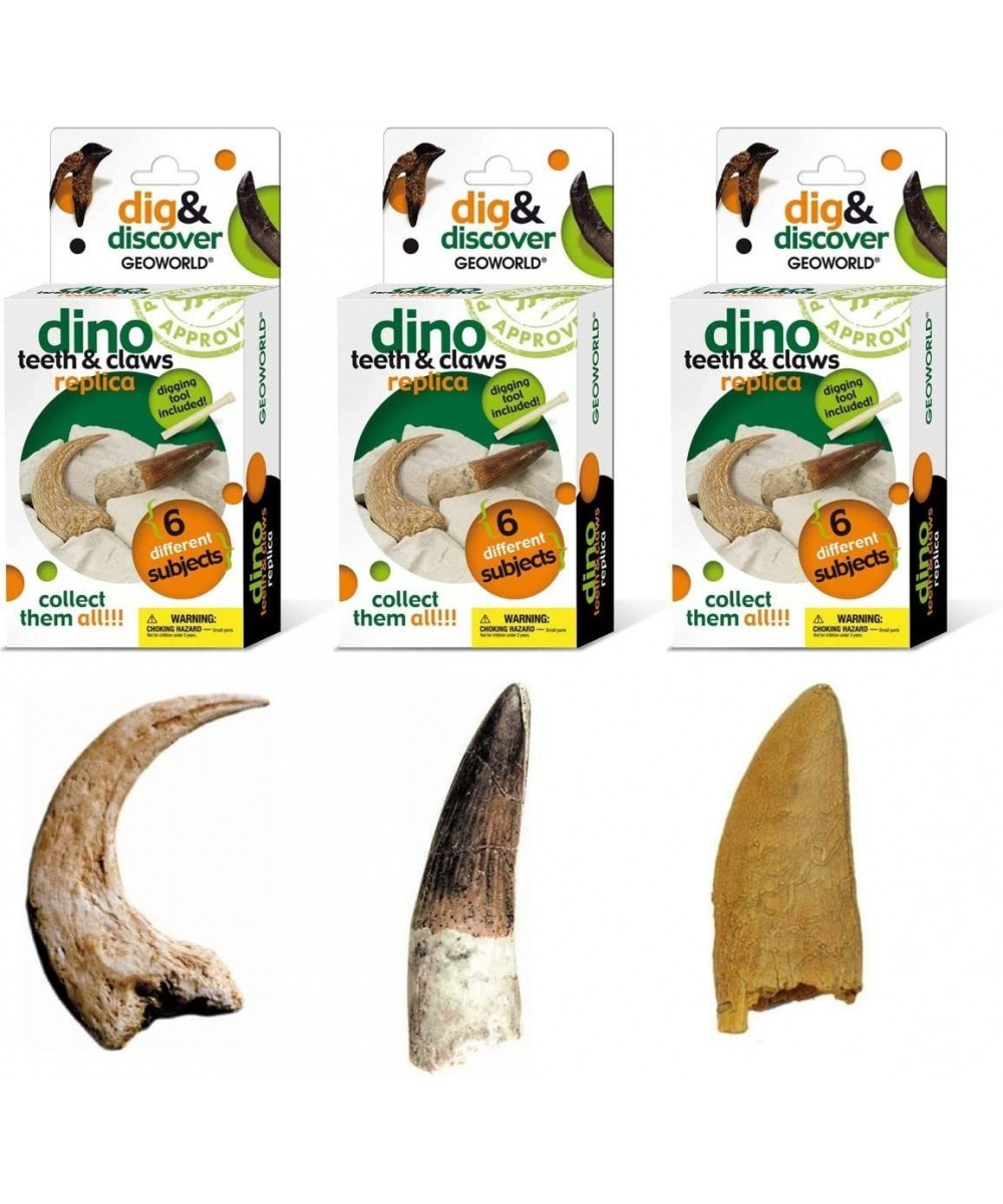 Dino Teeth and Claw Replica Dig and Discover Bundle (Set 1) $29.94 - Educational Science Kits