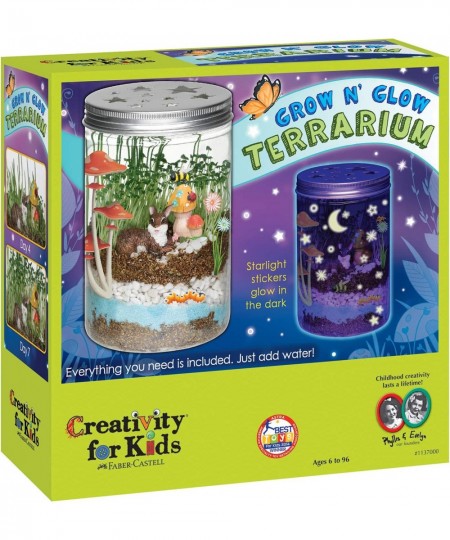 Hide & Seek Rock Painting Kit - Arts & Crafts for Kids - Includes Rocks & Waterproof Paint & Grow 'n Glow Terrarium $50.17 - ...