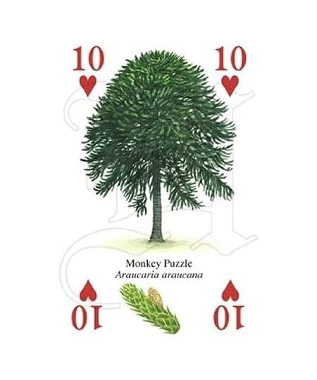 The Famous Trees Playing Cards $33.49 - Card Games