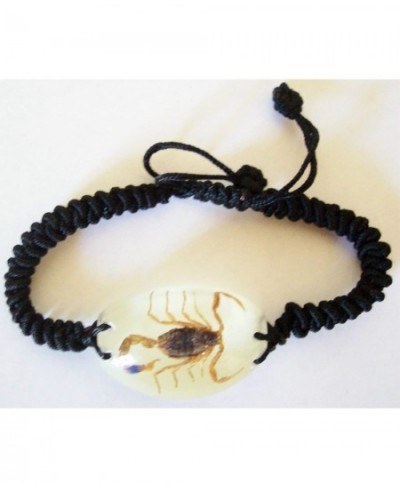 Real Brown Scorpion Bracelet (Glow in the Dark) $16.02 - Kids' Dress-Up Accessories