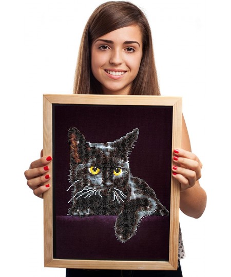 Kit Intermediate Midnight Cat $27.22 - Kids' Drawing & Writing Boards