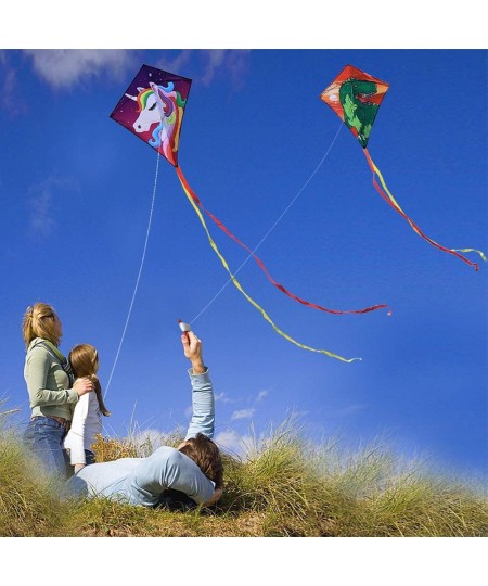 Diamond Kite [2 Pack]Dinasour+Unicorn Eddy Kite beginners Kite for Children Wonderful Beginner Kite for 3 years up 60x70cm wi...