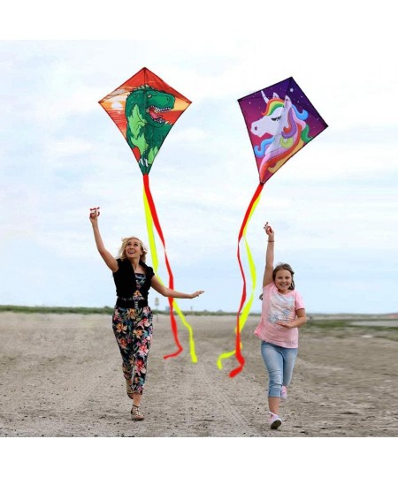 Diamond Kite [2 Pack]Dinasour+Unicorn Eddy Kite beginners Kite for Children Wonderful Beginner Kite for 3 years up 60x70cm wi...