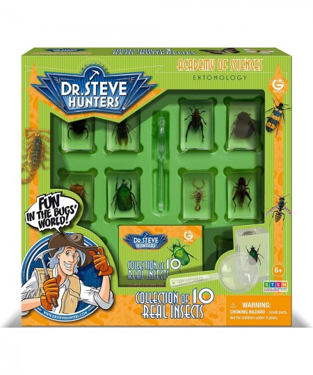 Dr. Steve Hunters - Bugs World Collection - 10 REAL insects - Scientific Educational Toy $49.52 - Educational Science Kits