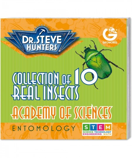 Dr. Steve Hunters - Bugs World Collection - 10 REAL insects - Scientific Educational Toy $49.52 - Educational Science Kits