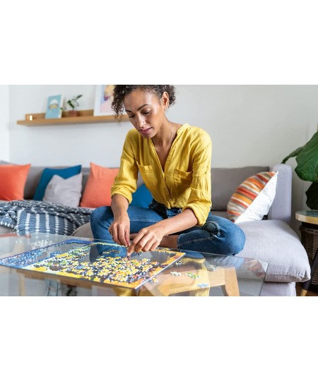 Artist's Cabinet 1000 Piece Jigsaw Puzzle for Adults - 14997 - Every Piece is Unique Softclick Technology Means Pieces Fit To...