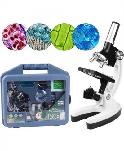 Science Microscope STEM Kit for Kids 300X-1200X High Magnification Includes Prepared Blank Slides and LED Light Educational P...