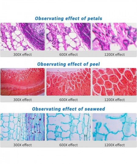 Science Microscope STEM Kit for Kids 300X-1200X High Magnification Includes Prepared Blank Slides and LED Light Educational P...