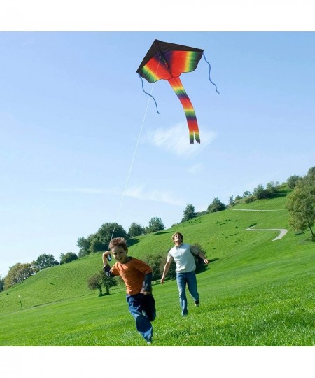 Pack of 2 Kites Large Rainbow Delta Kite and Blue Mollusc Octopus with Long Colorful Tail Kites for Kids and Adults Easy to F...