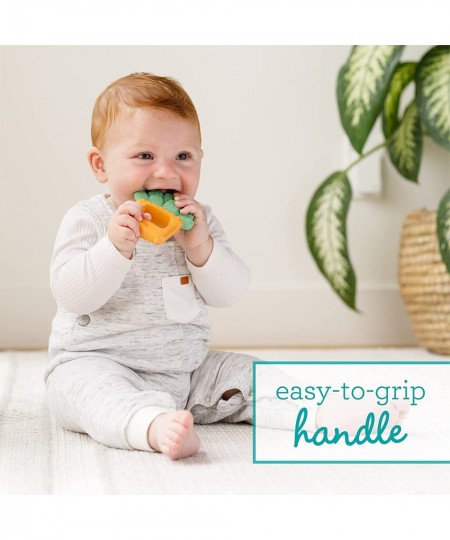 Squeeze & Teethe Succulent - Soft Easy to Hold BPA-Free Natural Rubber Textured Teether for Babies 0M+ $16.76 - Baby Teether ...