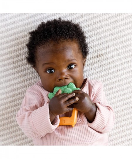 Squeeze & Teethe Succulent - Soft Easy to Hold BPA-Free Natural Rubber Textured Teether for Babies 0M+ $16.76 - Baby Teether ...