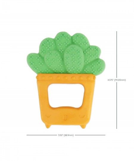 Squeeze & Teethe Succulent - Soft Easy to Hold BPA-Free Natural Rubber Textured Teether for Babies 0M+ $16.76 - Baby Teether ...