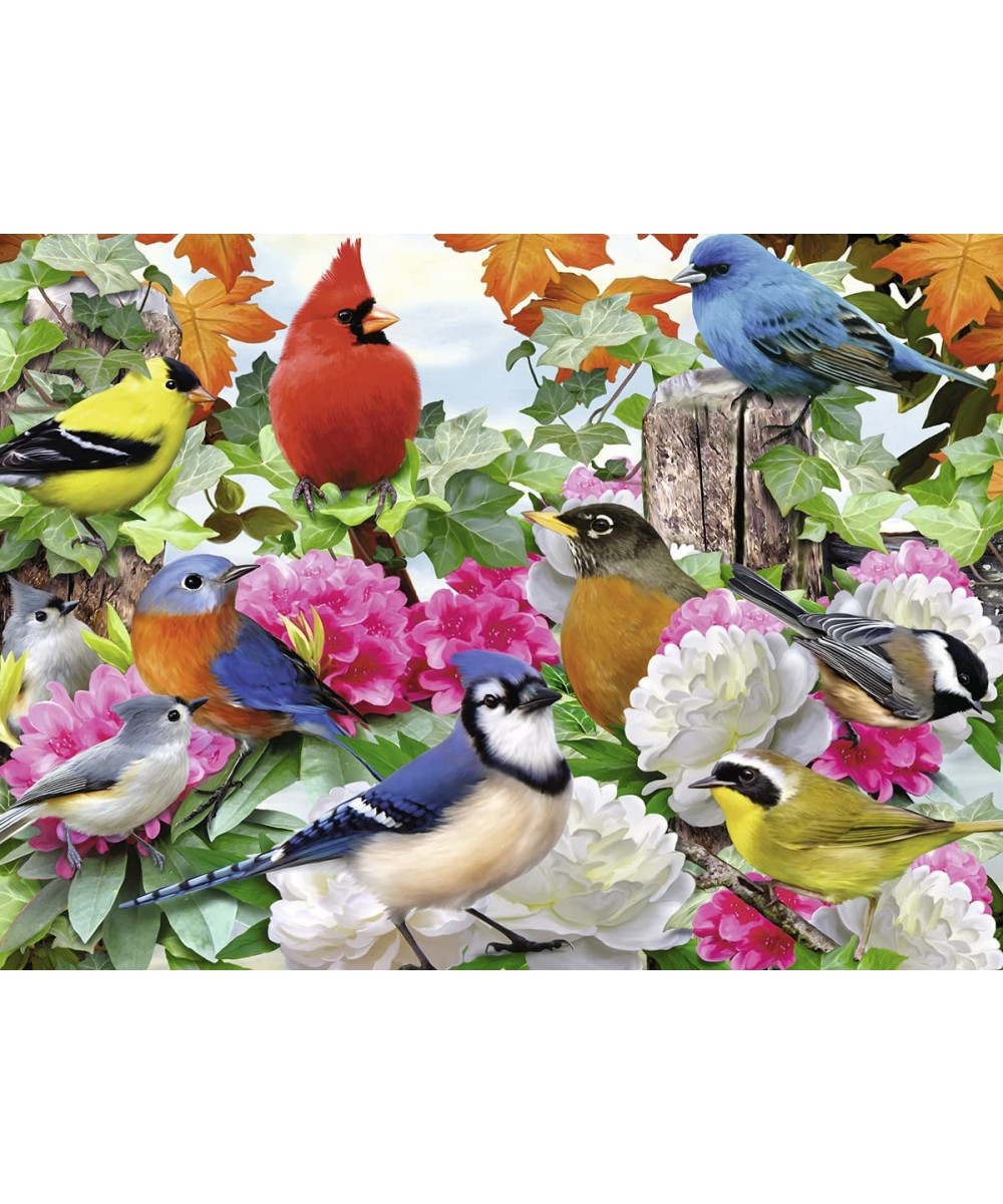 Garden Birds 500 Piece Jigsaw Puzzle for Adults – Every Piece is Unique Softclick Technology Means Pieces Fit Together Perfec...