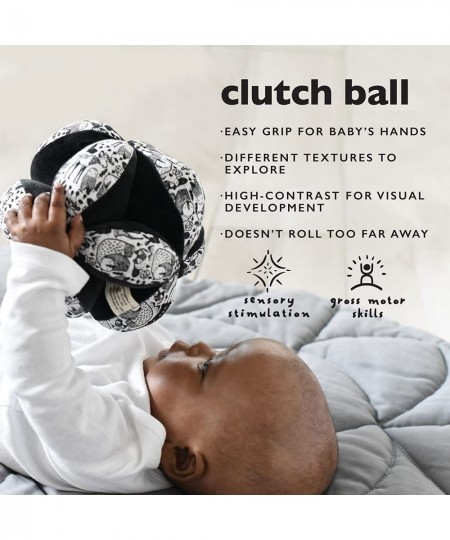 Sensory Clutch Ball - Developmental Activity for Babies and Toddlers - Visual Stimulation Motor Skills Soft Interactive Senso...