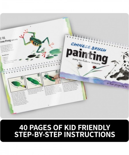 Children's Art Kits Petit Picasso Chinese Brush Painting 8 Inspiring Chinese Art Kit Projects $41.80 - Craft Kits