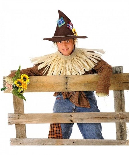 Halloween Scarecrow Costume Set Raffia Neck Arm and Ankle Ties Children Scarecrow Hat Felt Scarecrow Hat Raffia Scarecrow Acc...