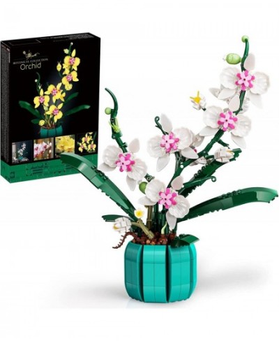 Orchid Building Set Build an Orchid Decor STEM Project for The Home or Office Botanical Collection Display Model Ideas Gifts ...