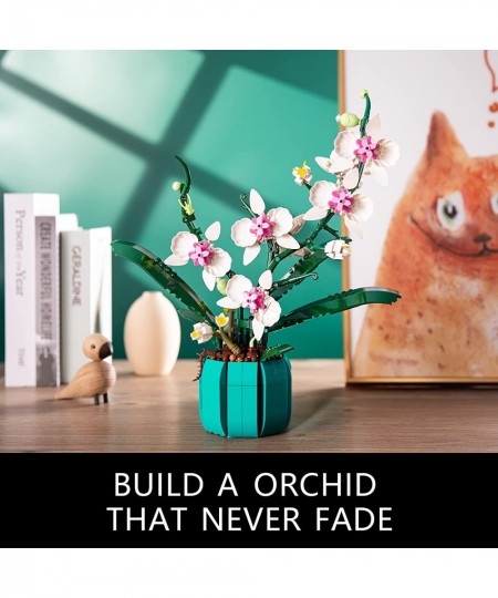 Orchid Building Set Build an Orchid Decor STEM Project for The Home or Office Botanical Collection Display Model Ideas Gifts ...