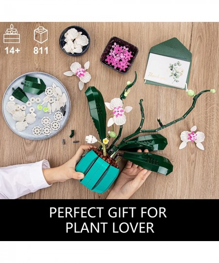 Orchid Building Set Build an Orchid Decor STEM Project for The Home or Office Botanical Collection Display Model Ideas Gifts ...