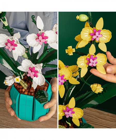 Orchid Building Set Build an Orchid Decor STEM Project for The Home or Office Botanical Collection Display Model Ideas Gifts ...