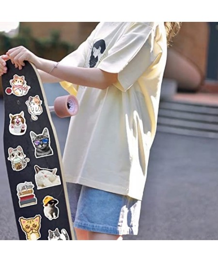 Cute Kitten Stickers 50 Pcs Cats Laptop Stickers Pack Cool Vinyl Waterproof Sticker for Pad MacBook Car Snowboard Bicycle Lug...