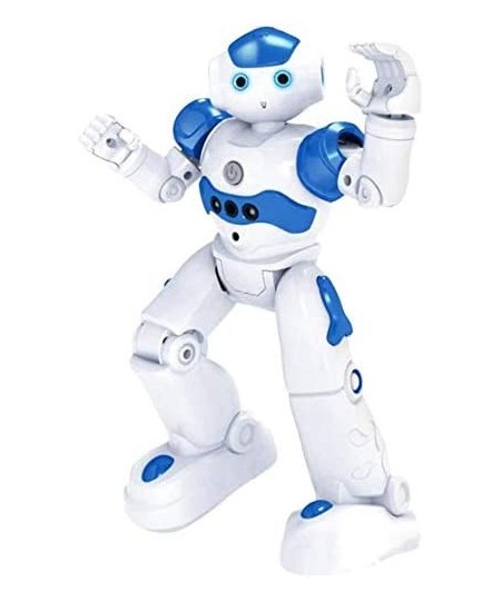 Children's RC Intelligent Robot Toy Gesture Sensing Dancing Walking High-tech Artificial Intelligence Robot Remote Control Ro...