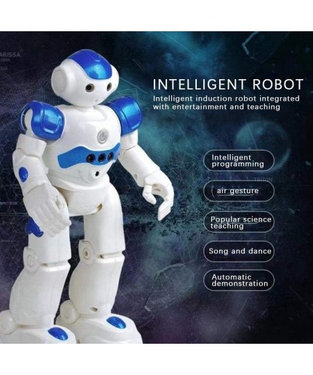 Children's RC Intelligent Robot Toy Gesture Sensing Dancing Walking High-tech Artificial Intelligence Robot Remote Control Ro...