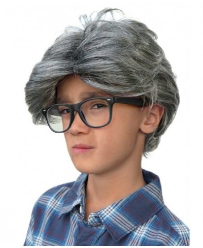 Old Man Wig Child Size Costume Wig Gray Grey Silver Old Person Hair Grandpa Gramps Dad Politician Comic Kids Accessory Ages 5...